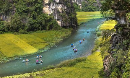 Manfaat Olahraga Air Untuk Kesehatan Fisik Dan Mental