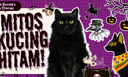 Mitos Kucing Hitam Sering Di Kaitkan Dengan Sihir Dan Ilmu Hitam