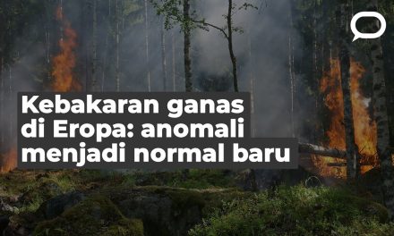 Cara Mencegah Agar Tidak Terjadi Kebakaran Hutan