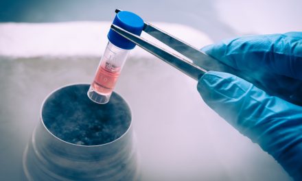 Stem Cell: Manfaat Dan Penggunaan Medisnya