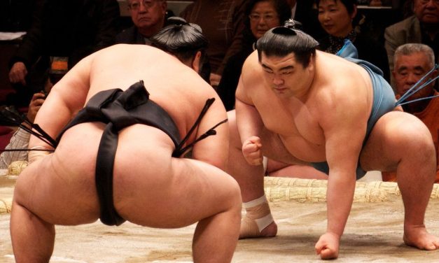 Pegulat Sumo Sudah Ada Sejak Zaman Kuno Jepang