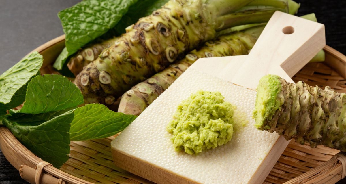 Wasabi : Tanaman Identitas Kuliner Yang Unik Dari Negeri Sakura