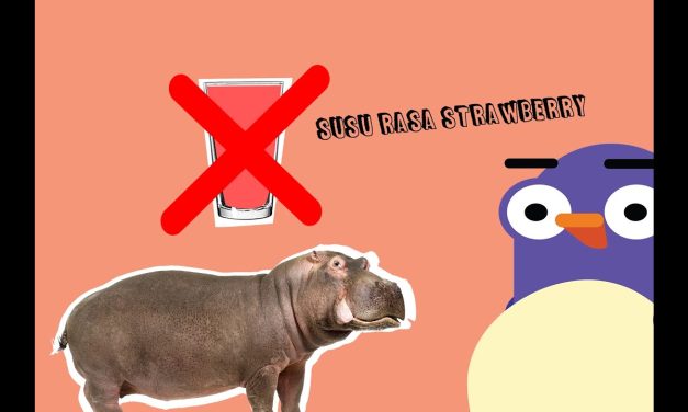 Hewan Kuda Nil Ternyata Memiliki Susu Berwarna Pink