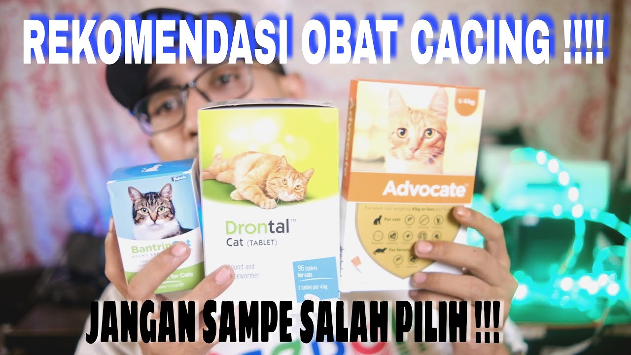 Rekomendasi Obat Cacing