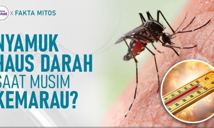 Nyamuk : Hewan Kecil Namun Berbahaya Terhadap Gigitannya