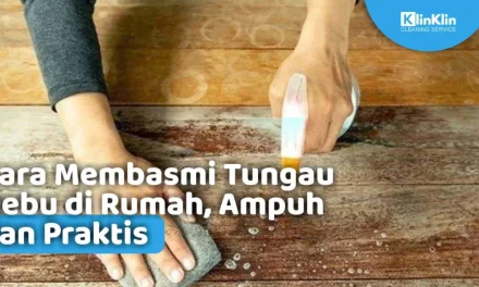 Tungau Debu Rumah Hewan Kecil Yang Dapat Membuat Alergi