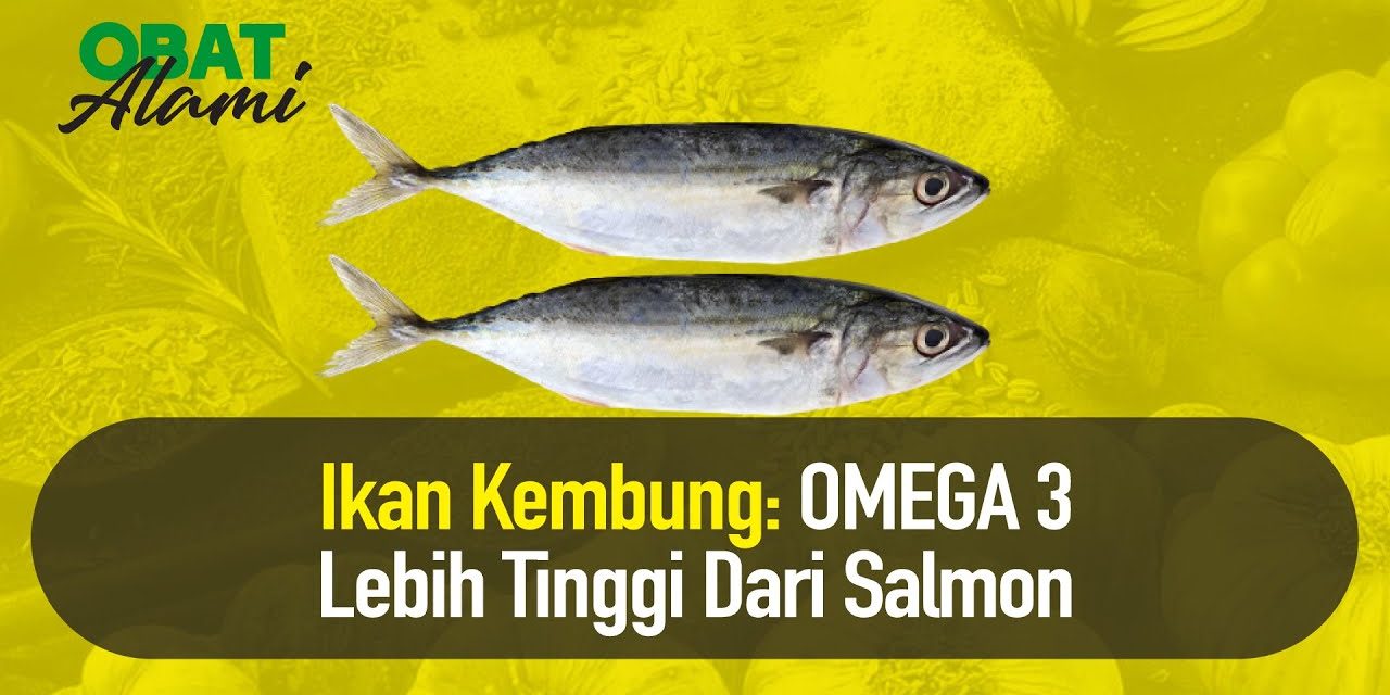 Kandungan Protein Ikan Kembung Lebih Tinggi Dari Ikan Salmon