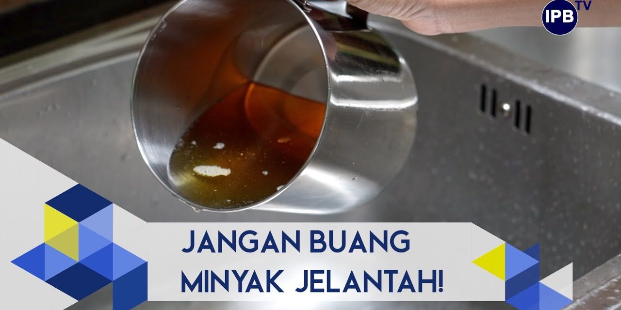 Minyak Goreng Bekas Pakai Dapat Di Olah Menjadi Biodiesel