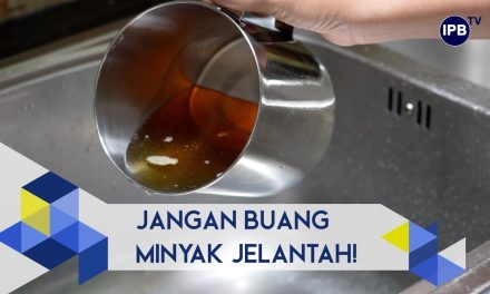 Minyak Goreng Bekas Pakai Dapat Di Olah Menjadi Biodiesel