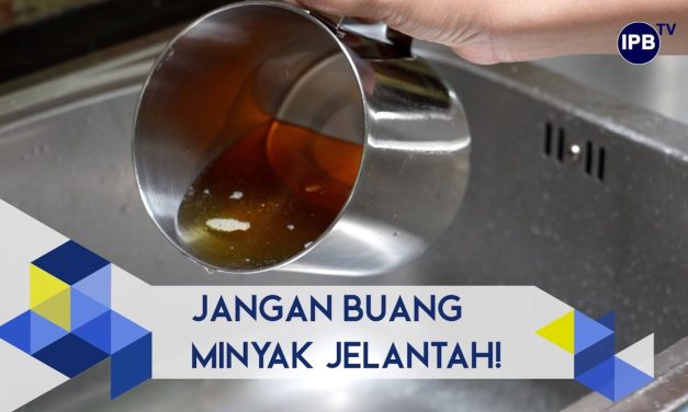 Minyak Goreng Bekas Pakai Dapat Di Olah Menjadi Biodiesel