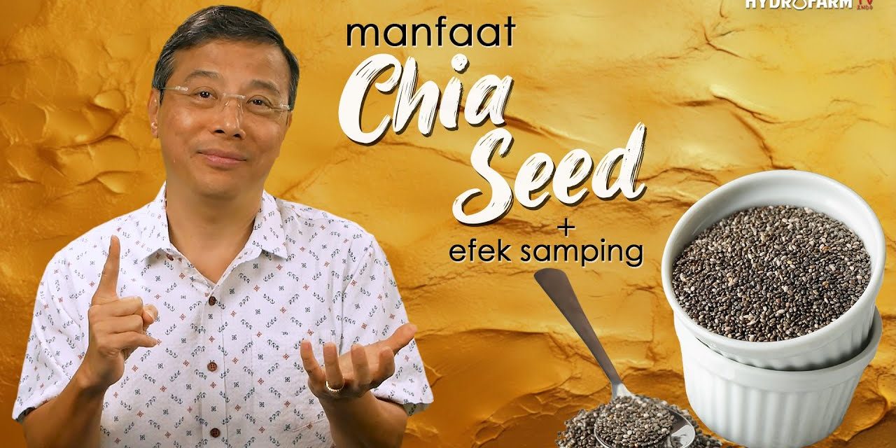 Chia Seed Membantu Melancarkan BAB Dan Pergerakan Usus