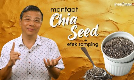 Chia Seed Membantu Melancarkan BAB Dan Pergerakan Usus