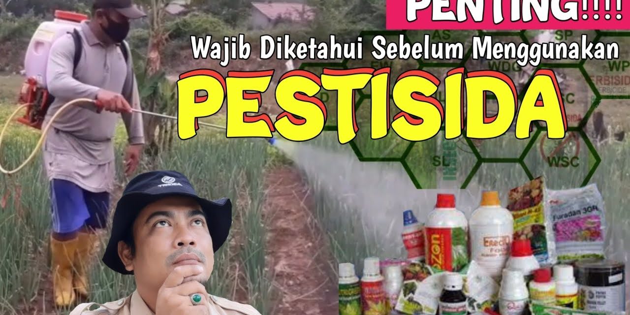 Manfaat Pestisida Yang Wajib Di Ketahui Sebelum Di Gunakan