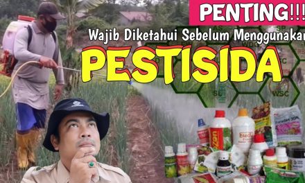 Manfaat Pestisida Yang Wajib Di Ketahui Sebelum Di Gunakan