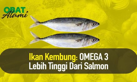 Kandungan Protein Ikan Kembung Lebih Tinggi Dari Ikan Salmon