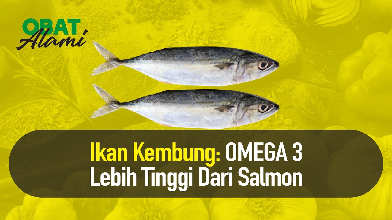 Kandungan Protein