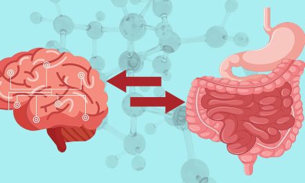 Gut Brain Axis: Hubungan Usus Dan Otak Yang Mengubah Medis