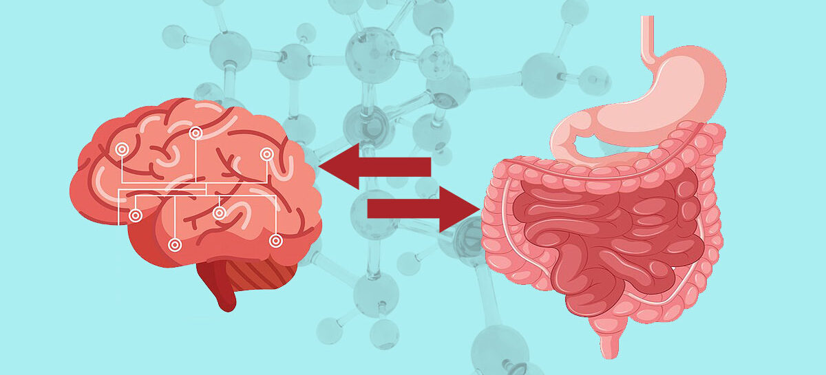 Gut Brain Axis: Hubungan Usus Dan Otak Yang Mengubah Medis