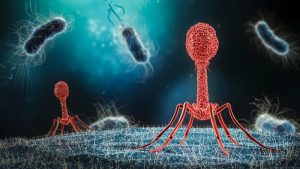 Terapi Phage