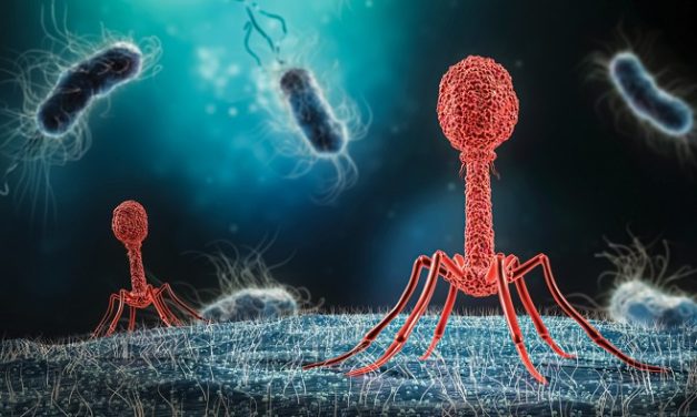 Terapi Phage: Solusi Alami Untuk Resistensi Antibiotik