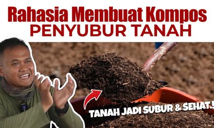 Kompos Organik Sering Dipakai Untuk Memperbaiki Kondisi Tanah