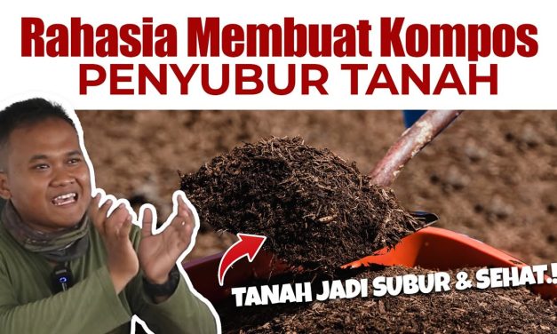 Kompos Organik Sering Dipakai Untuk Memperbaiki Kondisi Tanah
