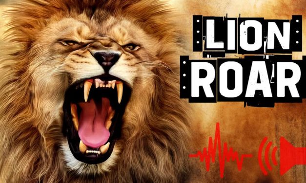 Fakta Menarik Tentang Auman Singa Jantan Yang Menyeramkan