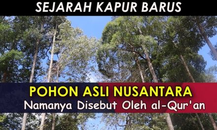Asal Usul Kapur Barus Wewangian Untuk Ritual Keagamaan