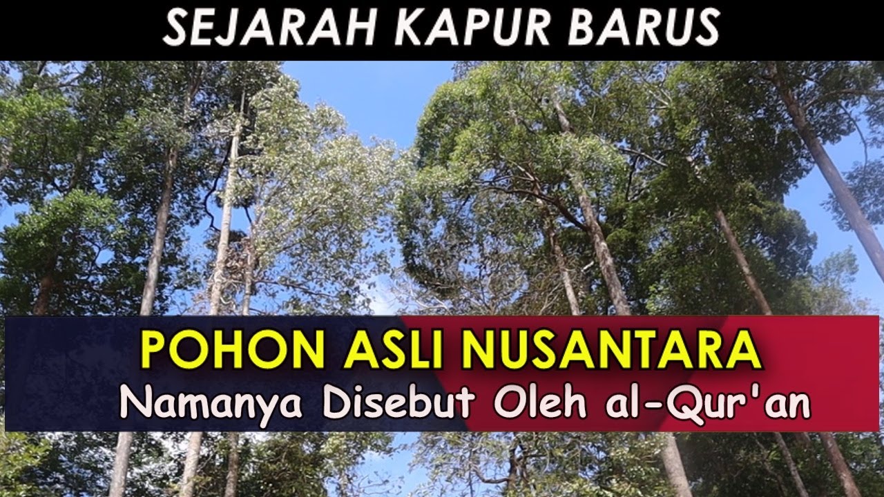 Asal Usul Kapur Barus