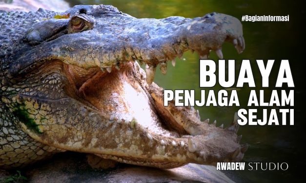 Fakta Menarik Tentang Buaya Yang Tidak Bisa Menjulurkan Lidah