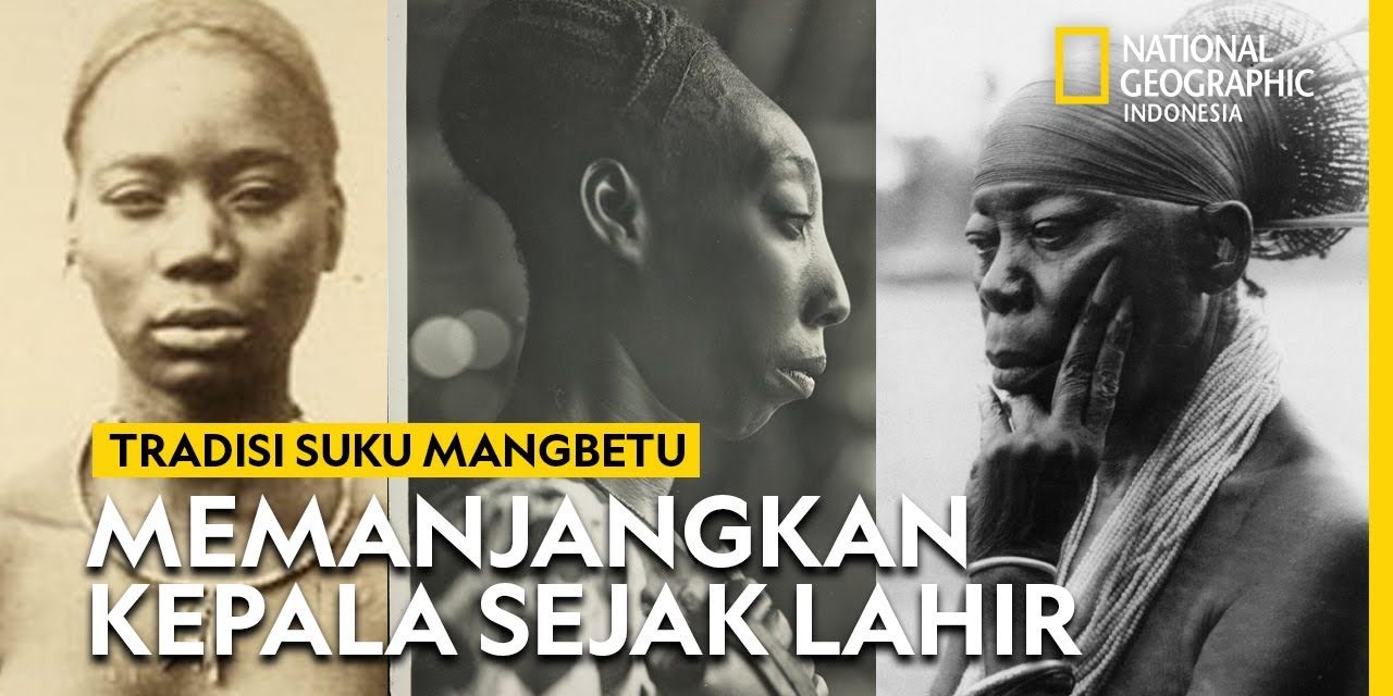 Keunikan Suku Mangbetu Ciri Paling Mencolok Di Afrika Tengah
