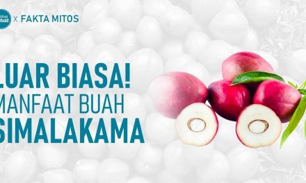 Khasiat Buah Simalakama Bisa Menghambat Sel Kanker