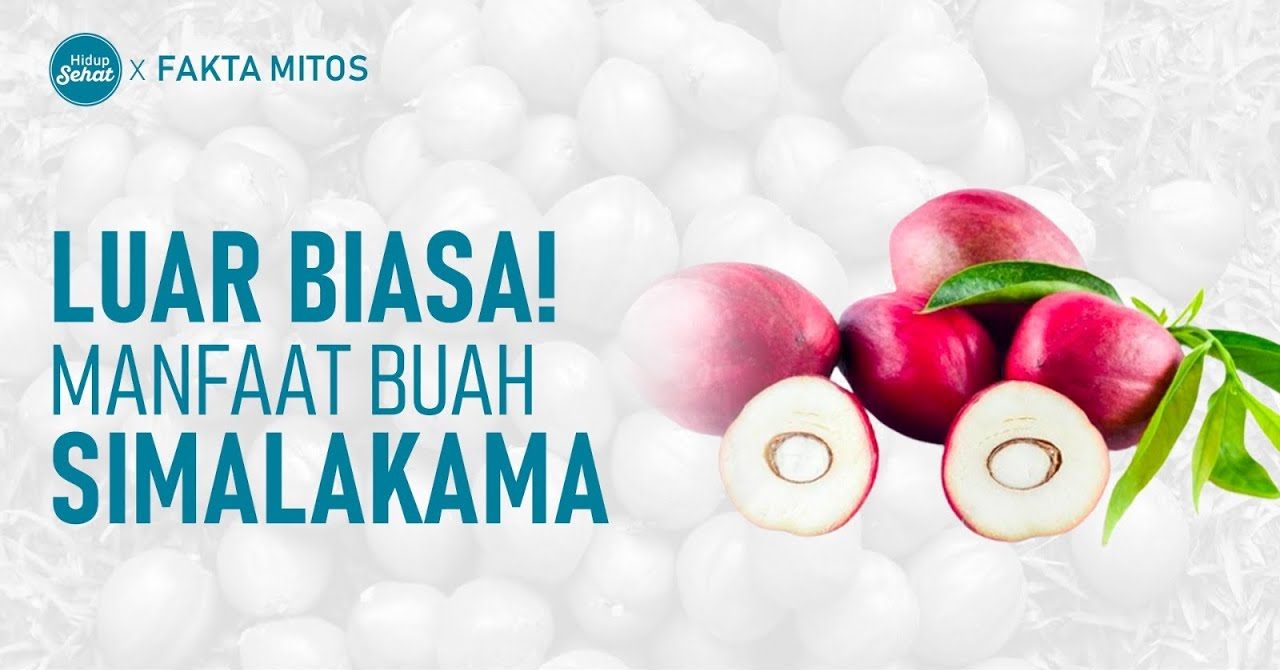 Khasiat Buah Simalakama