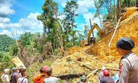 Sindikat Penambangan Emas Ilegal Tiongkok Rugikan Indonesia