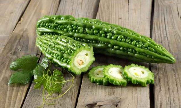 Sayur Pare: Kaya Nutrisi Dan Manfaat Untuk Kesehatan