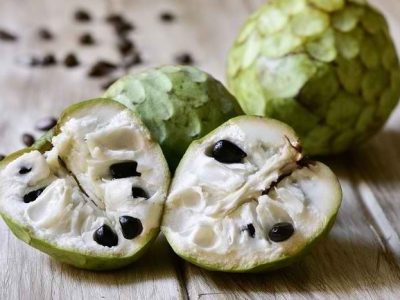 Buah Srikaya: Manis Alami Perlu Di Ketahui Penderita Diabetes