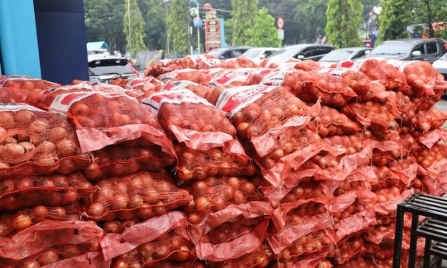 Bawang Bombai Ilegal Asal Impor Berhasil Diamankan Bea Cukai