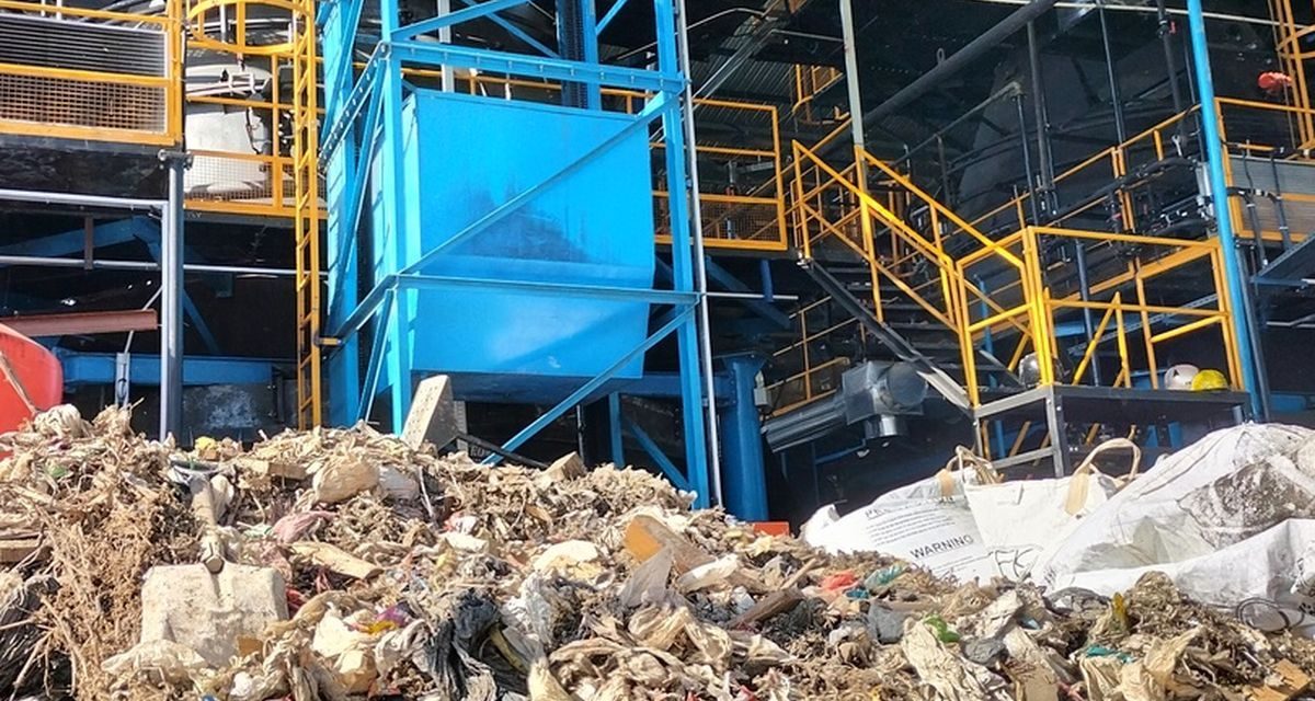 TreeStructor: Teknologi AI Baru Jadi ‘Mata’ Peneliti Di Hutan