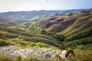 Sumba: Keajaiban Sabana dan Jejak Megalitikum di Indonesia