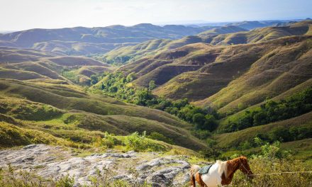 Sumba: Keajaiban Sabana dan Jejak Megalitikum di Indonesia