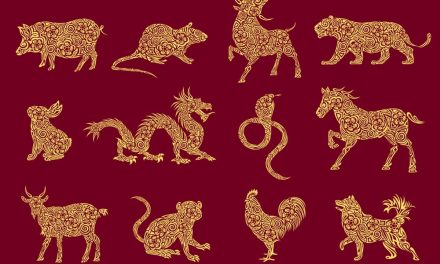 Prediksi Shio Minggu Ini: 3 Zodiak Ini Bakal Tajir Melintir!