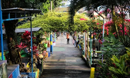Malang Tanpa Macet: Eksplor Sisi Dingin Yang Lebih Tenang