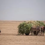 Alarm PBB Berbunyi! Afrika Hadapi Ancaman Kelaparan Hebat