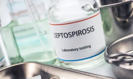 Awas! Leptospirosis Punya Komplikasi Mematikan