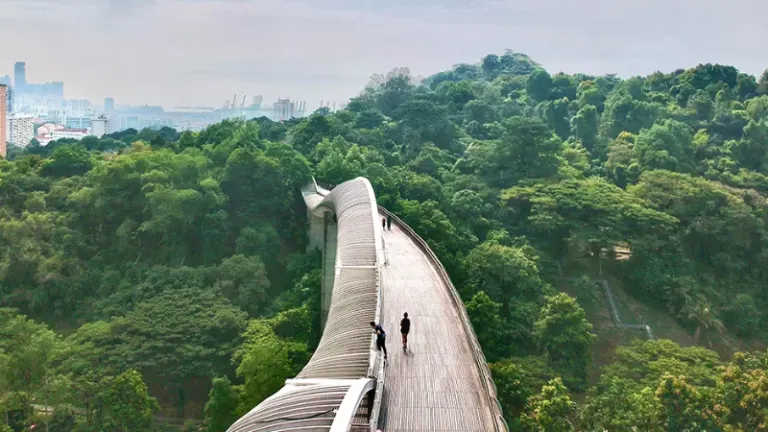 Bukan Cuma Kota! Ini Wisata Alam Unik Di Singapura